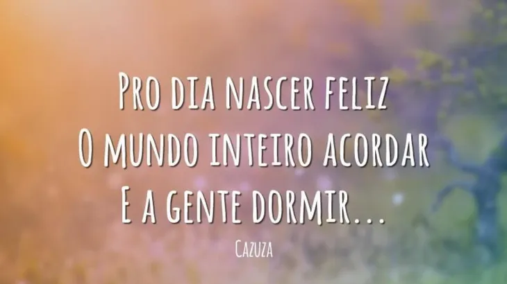 2494 61210 - Cazuza Frases