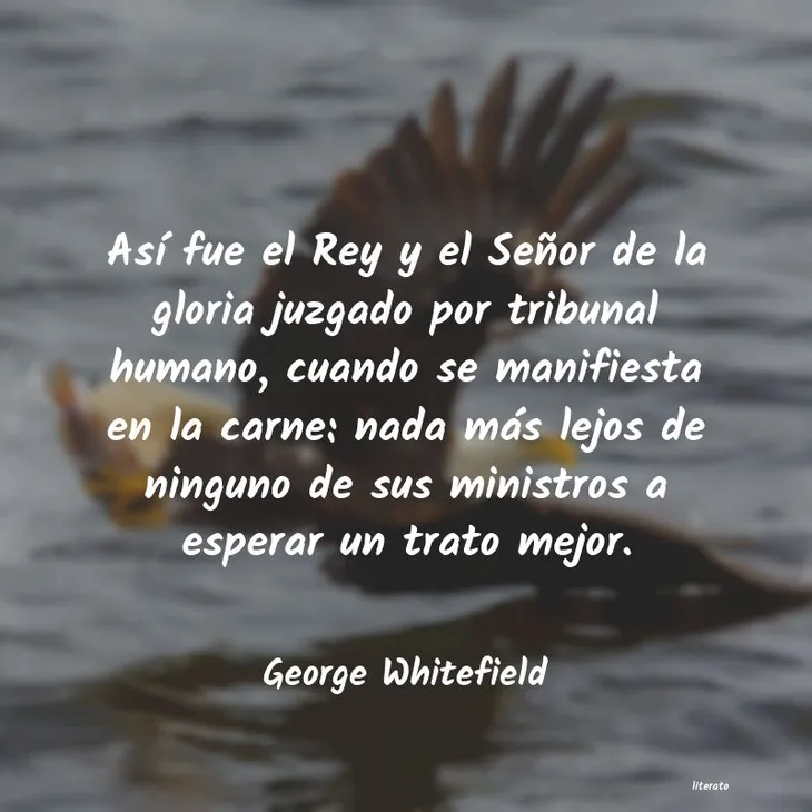 2502 6808 - George Whitefield Frases