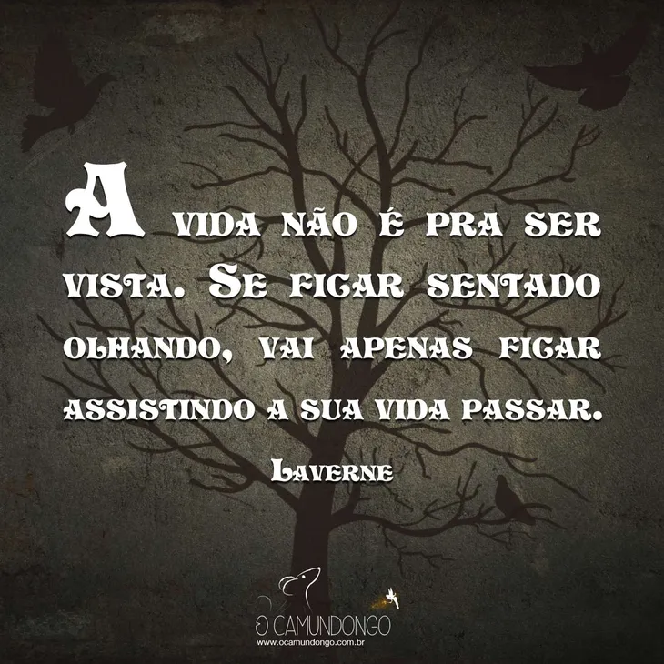 261 73238 - Frases Sobre O Universo