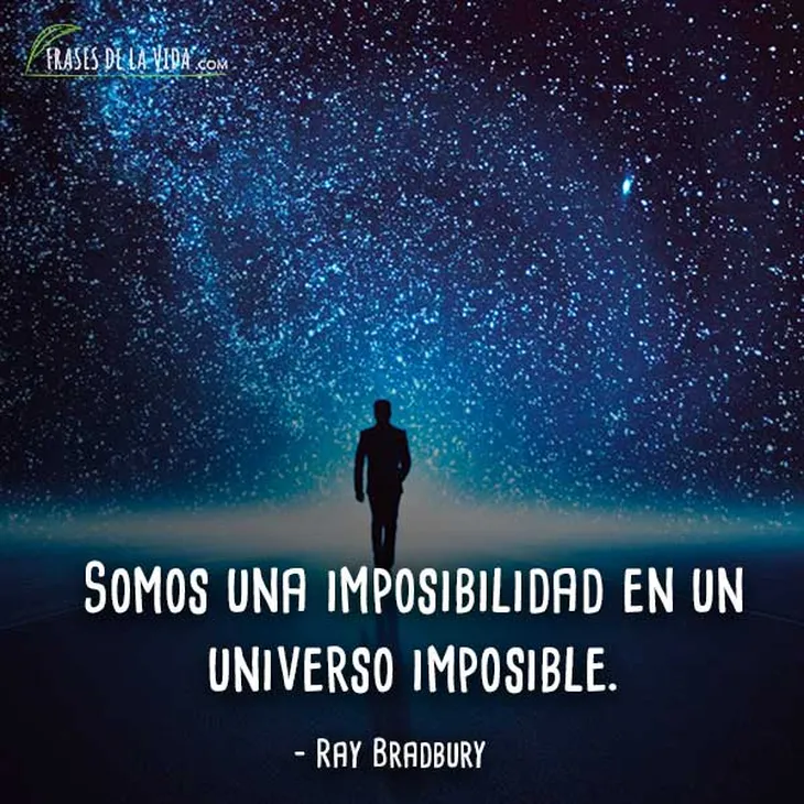 261 73250 - Frases Sobre O Universo