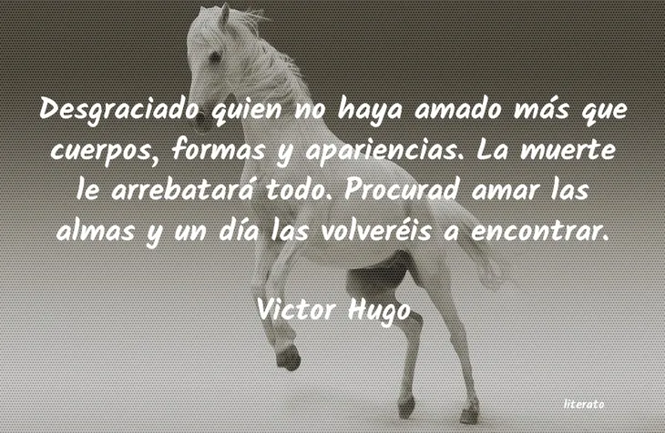 2623 67219 - Frases De Victor Hugo