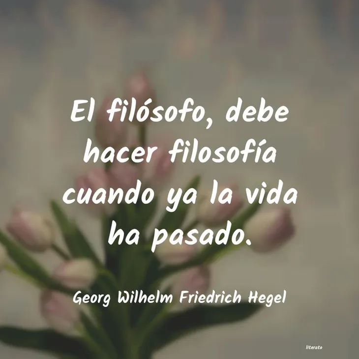 2794 93027 - Hegel Frases