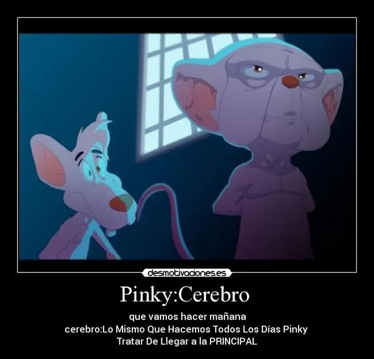 2802 51923 - Pinky E Cerebro Frases