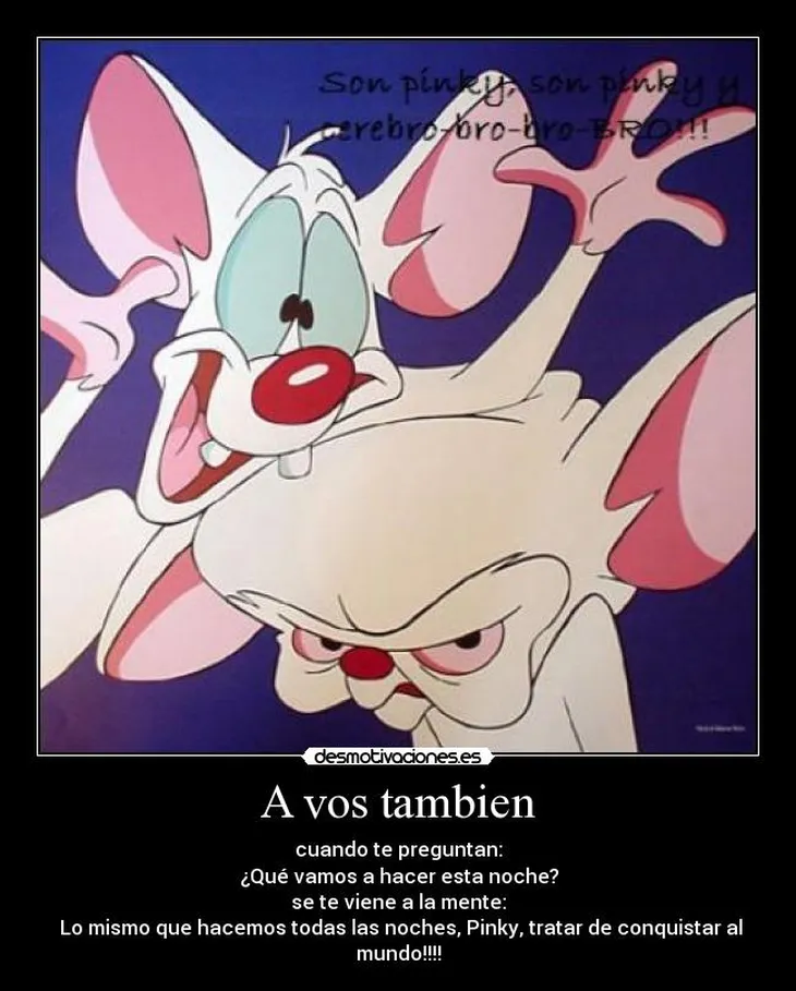 2802 51937 - Pinky E Cerebro Frases