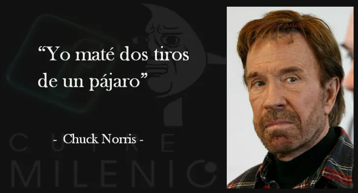 2948 105434 - Chuck Norris Frases
