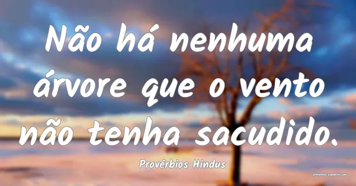 2966 16012 - Frases Hindus