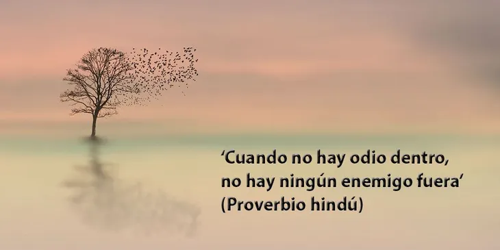 2966 16021 - Frases Hindus