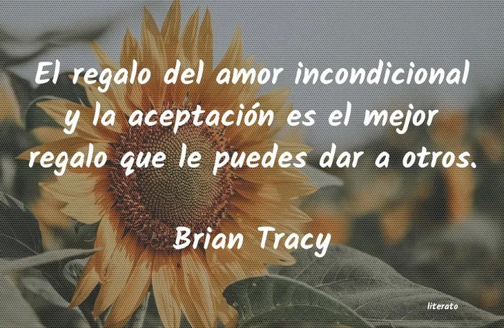 3013 106158 - Brian Tracy Frases