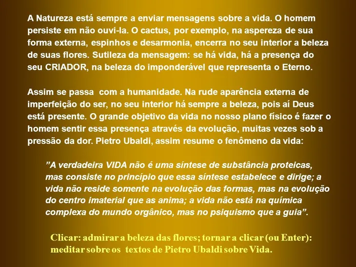 3067 110622 - Textos Sobre A Vida