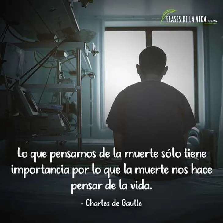 3075 48226 - Charles De Gaulle Frases