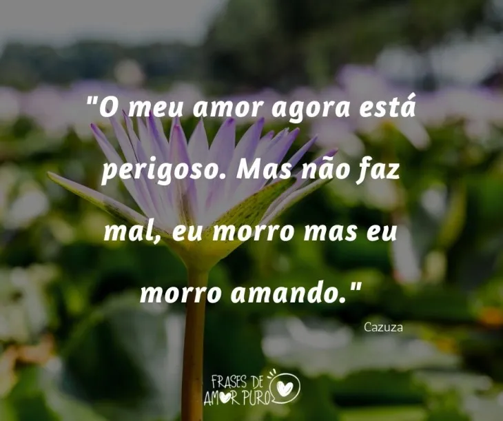 3081 49150 - Frases 244