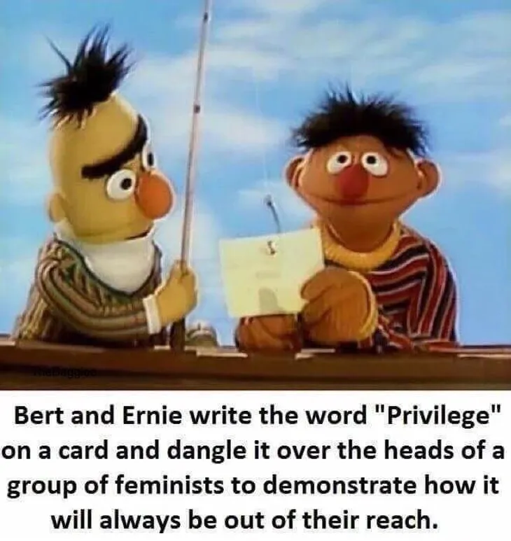 313 107920 - Bert E Ernie Memes