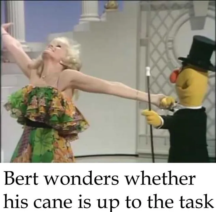 313 107938 - Bert E Ernie Memes