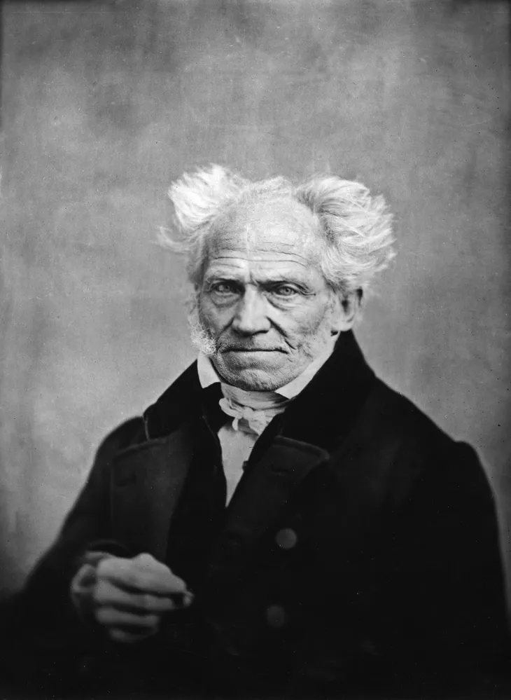 3205 94631 - Schopenhauer Frases