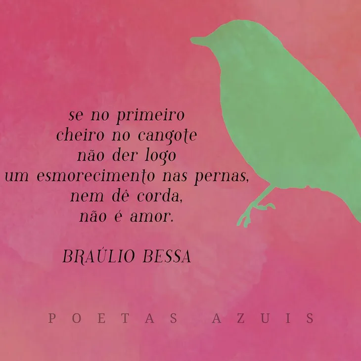 3247 116327 - Frases De Braulio Bessa