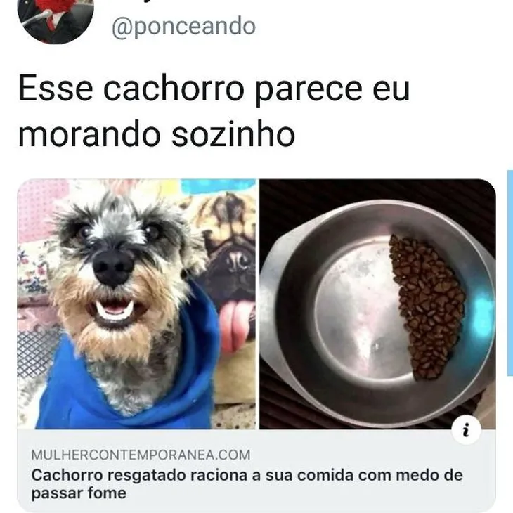 3275 31784 - Memes De Comida