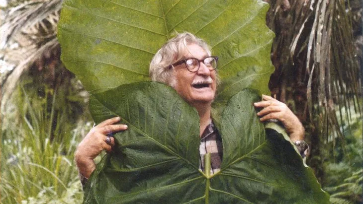 3323 78036 - Frases Burle Marx