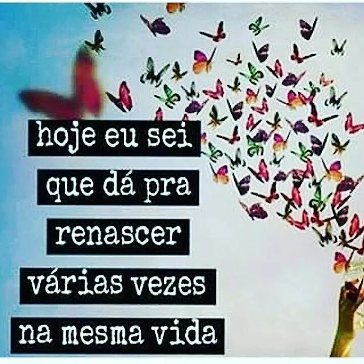 3337 17088 - Frases Do Renascimento