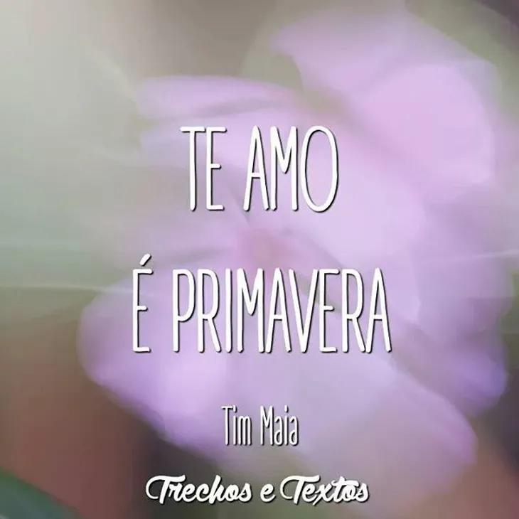 3384 108187 - Frases Tim Maia