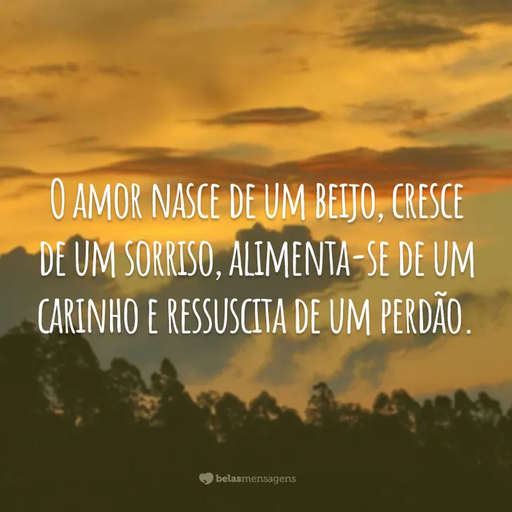 3400 37386 - Frases Arrependimento Sincero