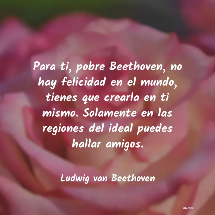 3413 5219 - Beethoven Frases