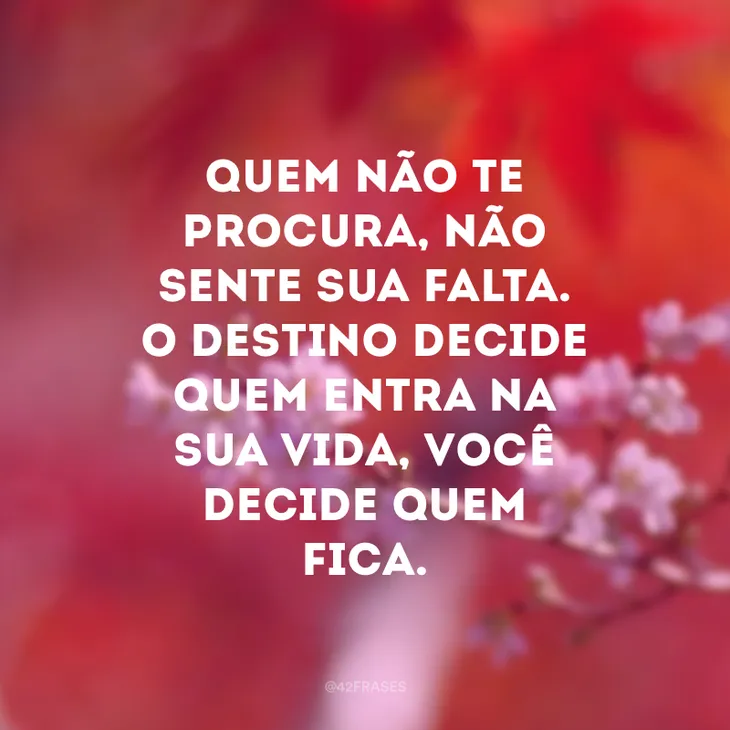 3445 103819 - Frases Sinceras