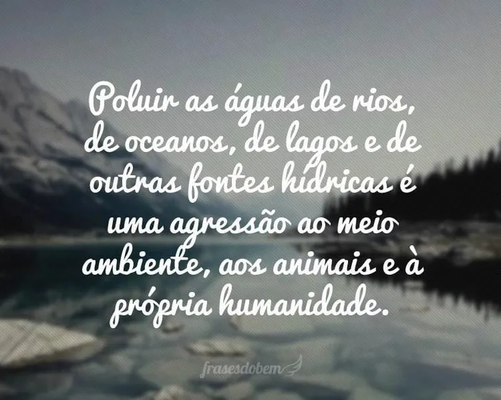 3466 22584 - Frases Sobre Meio Ambiente