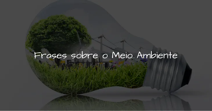 3466 22586 - Frases Sobre Meio Ambiente