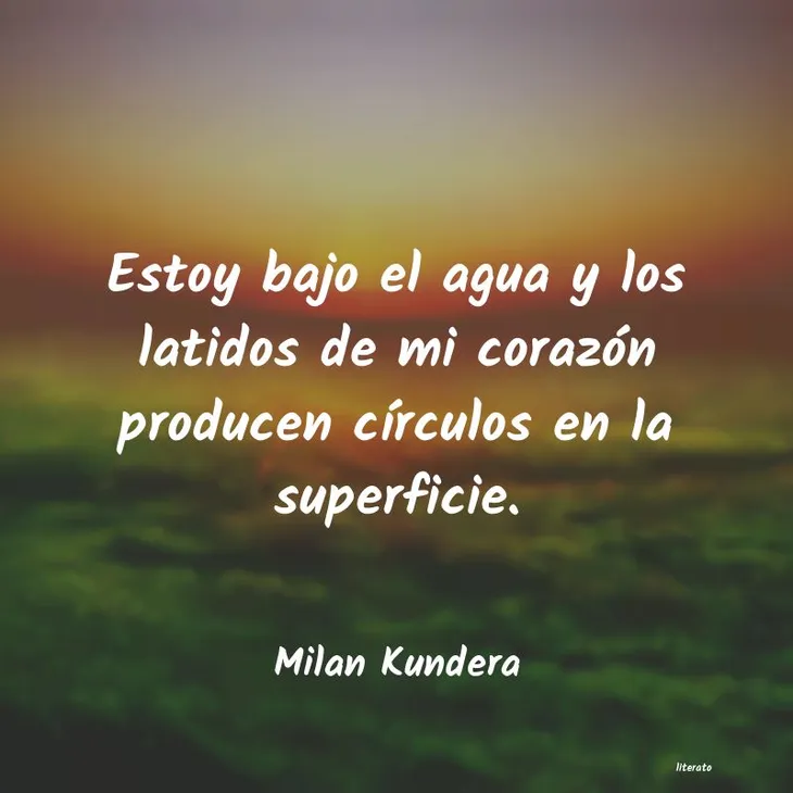 356 110702 - Frases Milan Kundera