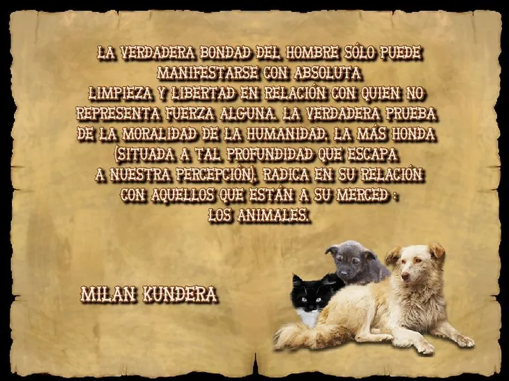 356 110712 - Frases Milan Kundera