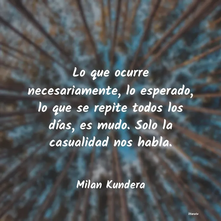 356 110719 - Frases Milan Kundera