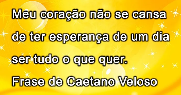 3568 69275 - Frase Caetano Veloso