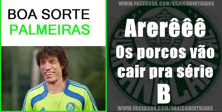 3620 18950 - Frases Palmeiras