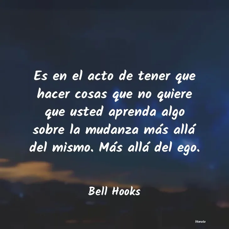 367 42843 - Bell Hooks Frases