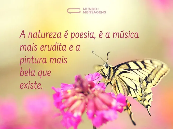 3685 20431 - Poema Sobre Natureza