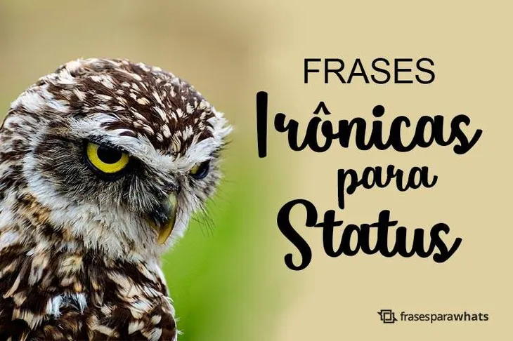 3688 13867 - Frases Sarcasticas