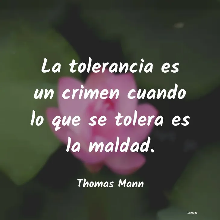 373 17713 - Frases Sobre La Tolerancia