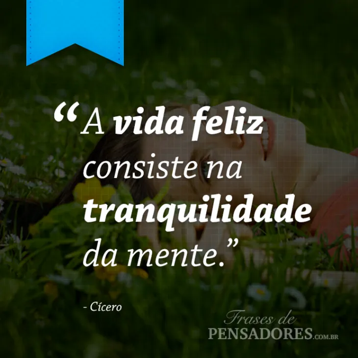 3816 23296 - Frases Sobre A Mente