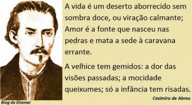 3848 32387 - Frases De Casimiro De Abreu