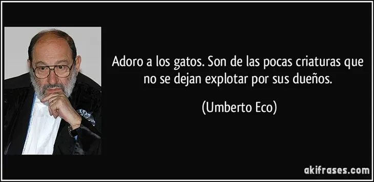 3883 109339 - Umberto Eco Frases