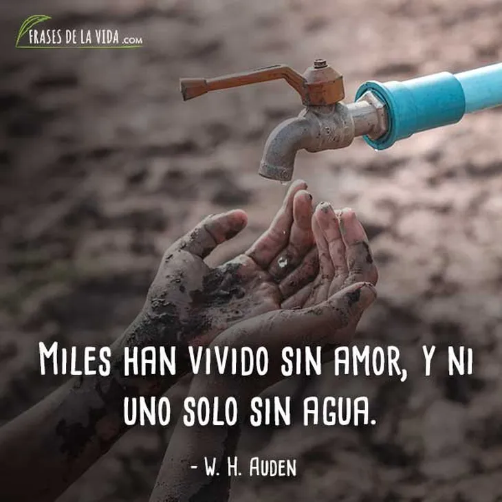 3950 59014 - Frases Sobre Ecologia