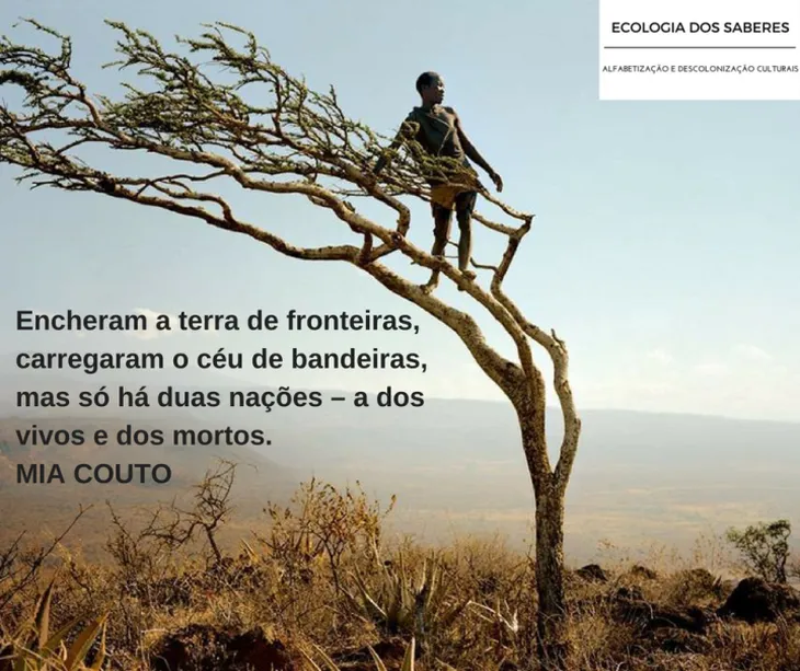 3950 59020 - Frases Sobre Ecologia