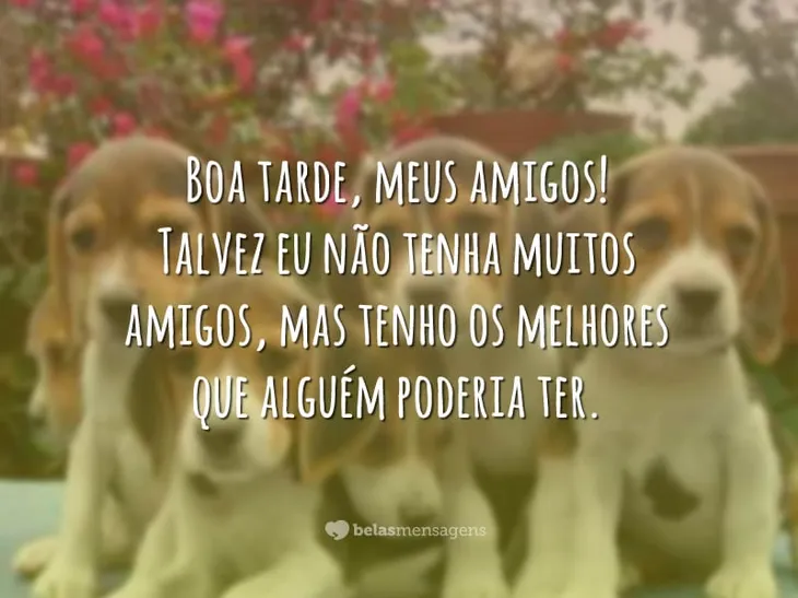 3958 1829 - Frases De Boa Tarde