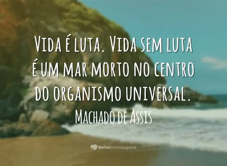 3976 17014 - Frases De Machado De Assis