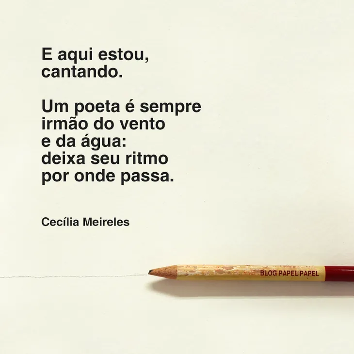 3980 79089 - Cecilia Meireles Poemas