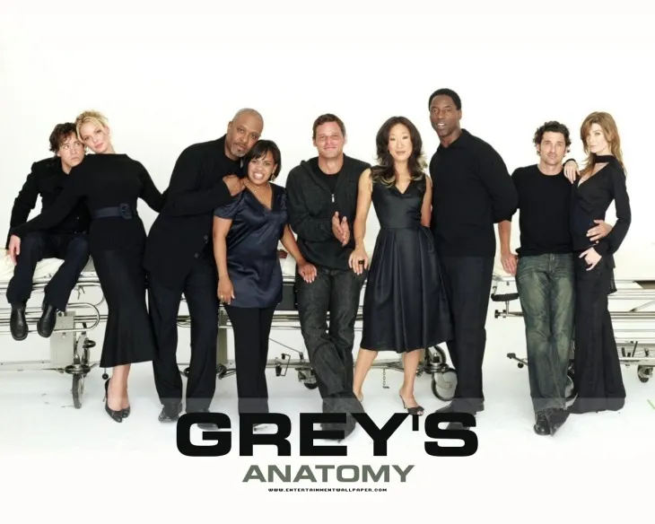 4037 78212 - Grey's Anatomy 2 Temporada