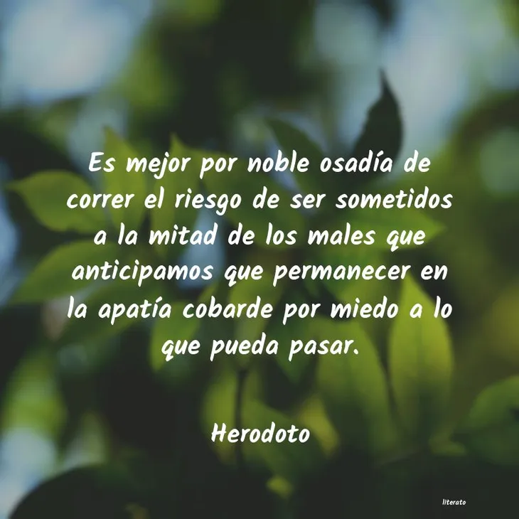 4039 78172 - Herodoto Frases