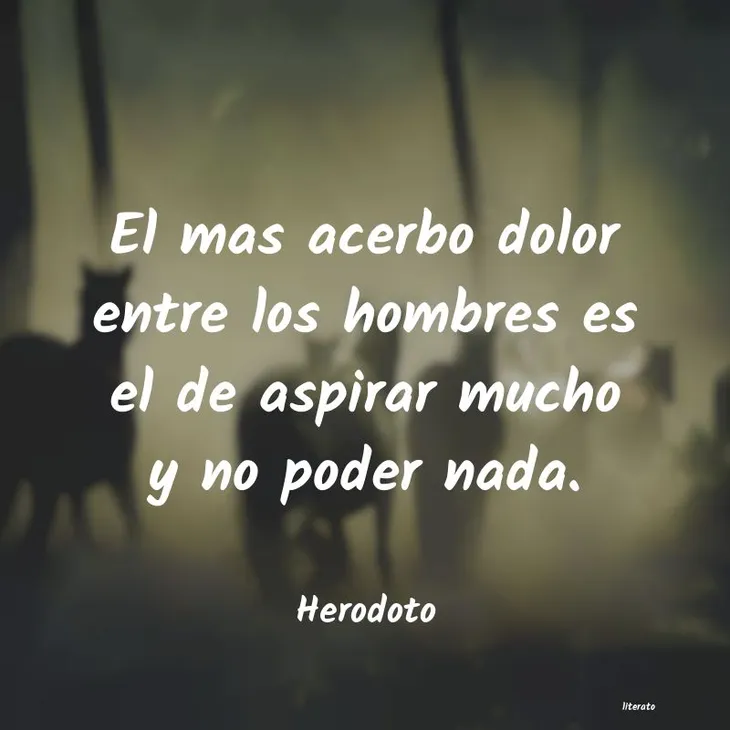 4039 78179 - Herodoto Frases