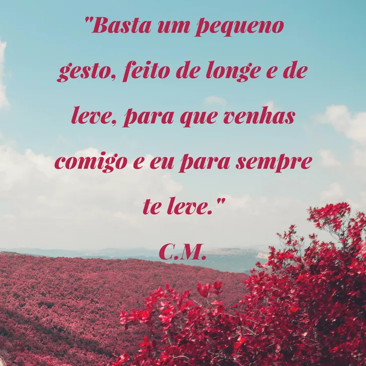 4043 85147 - Poema Solidão Cecilia Meireles