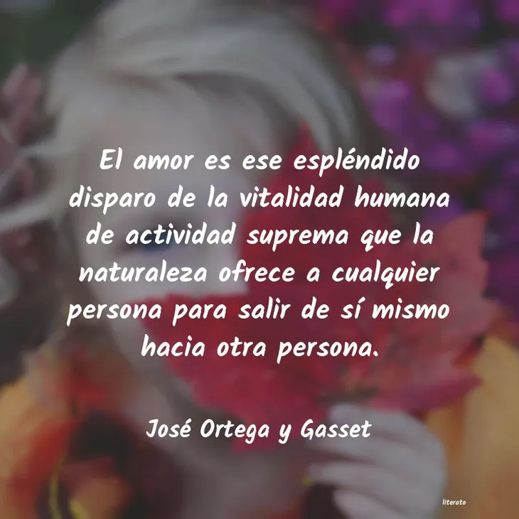 4166 36555 - Ortega Y Gasset Frases